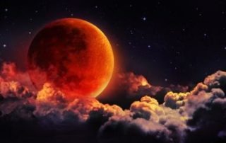 Study-Distractions-No-Just-Arts-Festivals-And-Horror-Movies-Under-A-Blood-Red-Moon